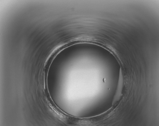 X0000080151123200612151823