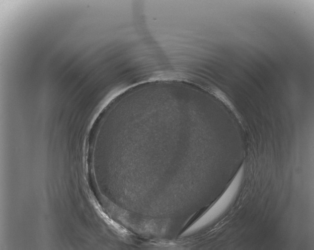 X0000080151124200612151823