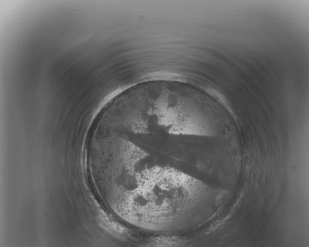 X0000080151125200612151823