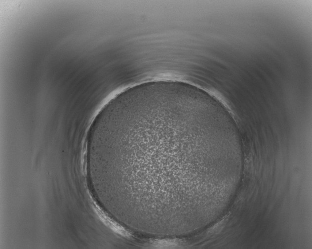 X0000080151126200612151823