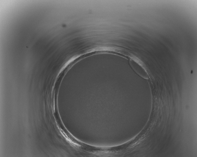 X0000080151127200612151823