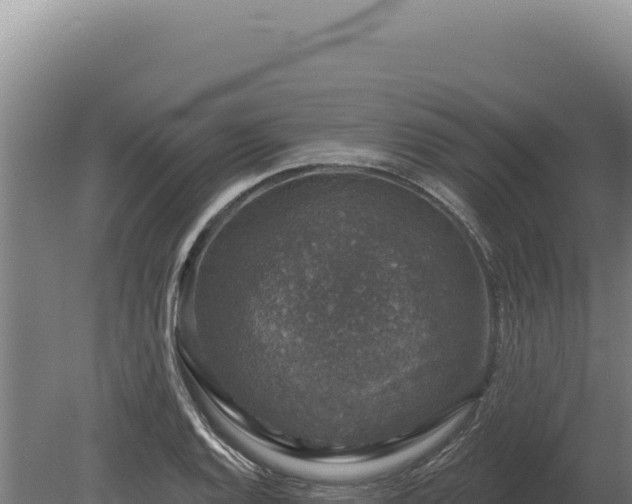 X0000080151128200612151823