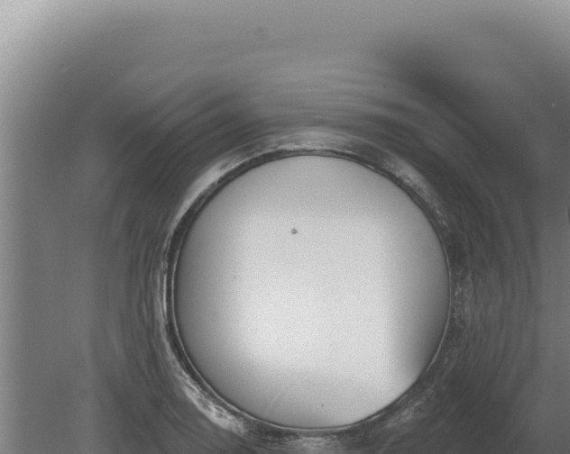 X0000080151130200612151823