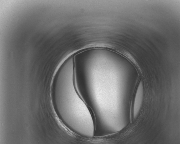 X0000080151132200612151823