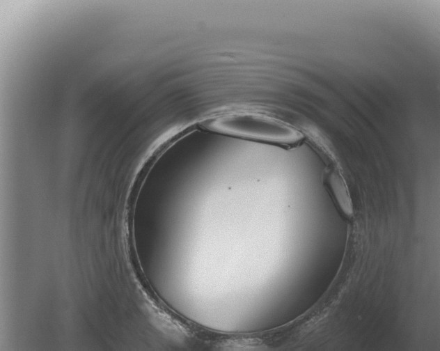 X0000080151133200612151823