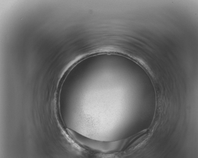 X0000080151134200612151823