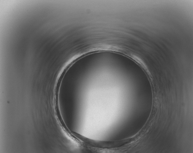 X0000080151136200612151823