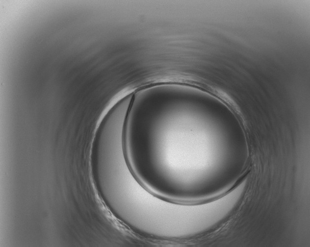 X0000080151138200612151823