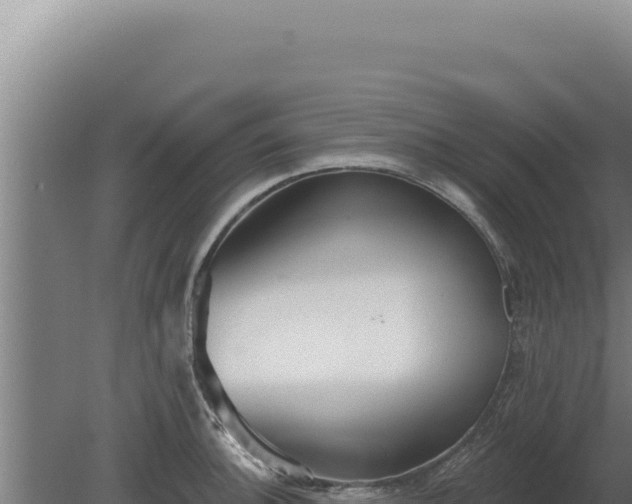 X0000080151140200612151823