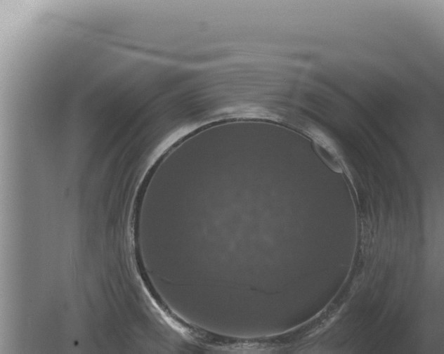 X0000080151141200612151823