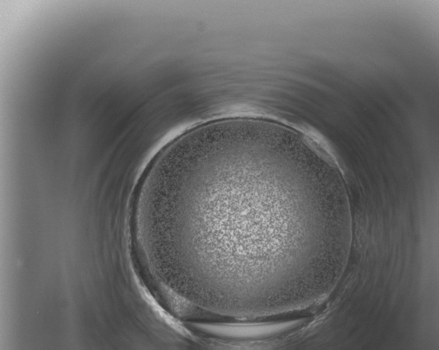 X0000080151142200612151823