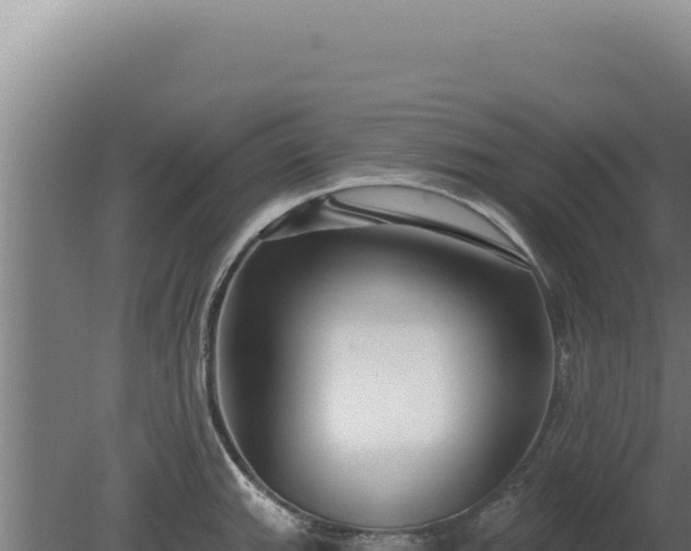 X0000080151143200612151823