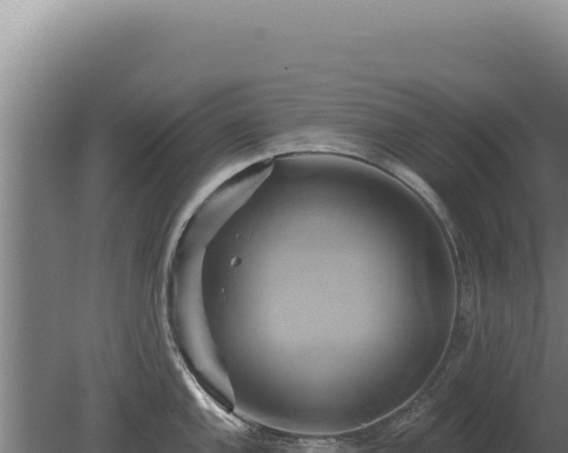 X0000080151144200612151823