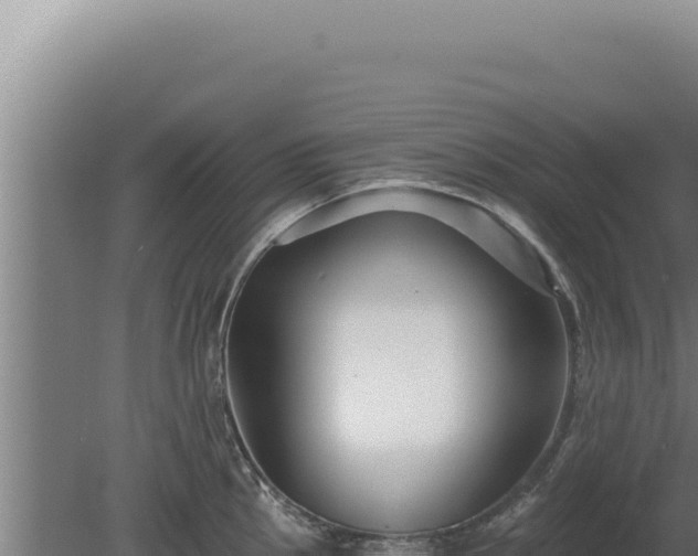 X0000080151145200612151823