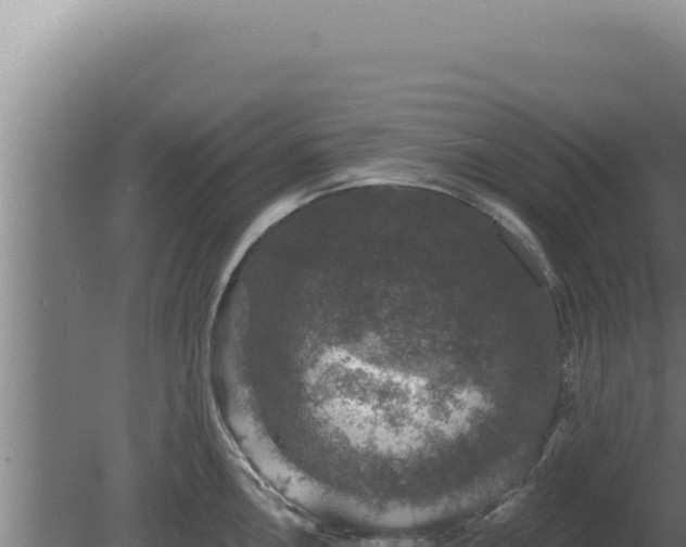 X0000080151146200612151823