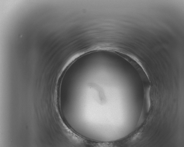 X0000080151147200612151823