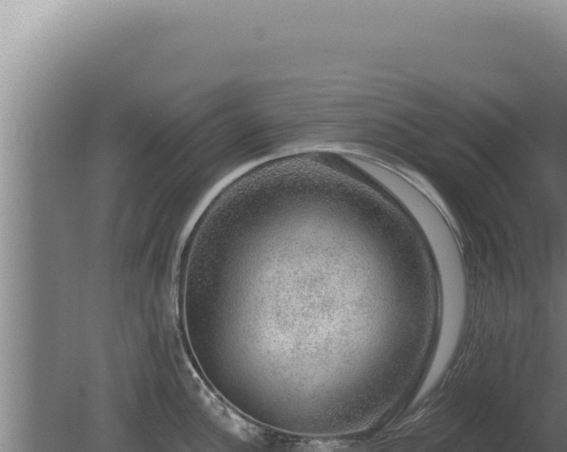 X0000080151148200612151823