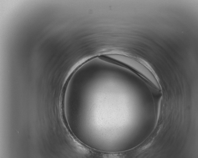 X0000080151149200612151823