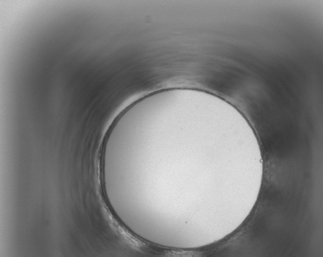 X0000080151150200612151823