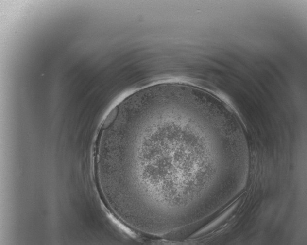 X0000080151151200612151823