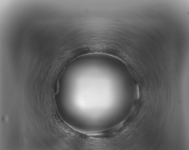 X0000080151153200612151823