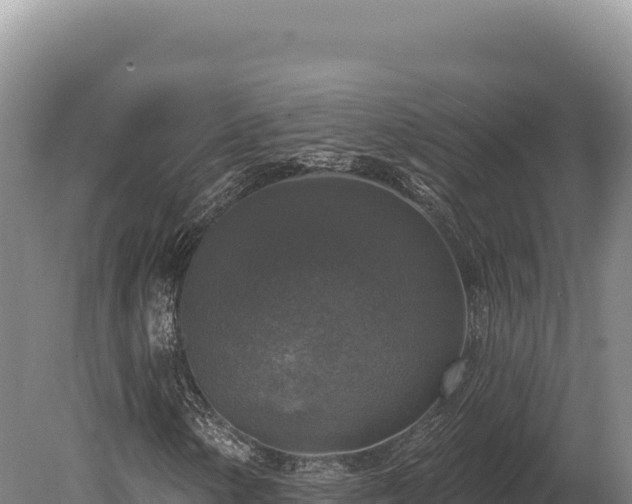 X0000080151154200612151823