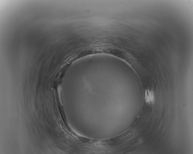 X0000080151155200612151823