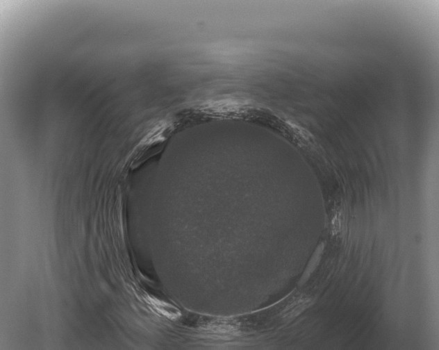 X0000080151156200612151823