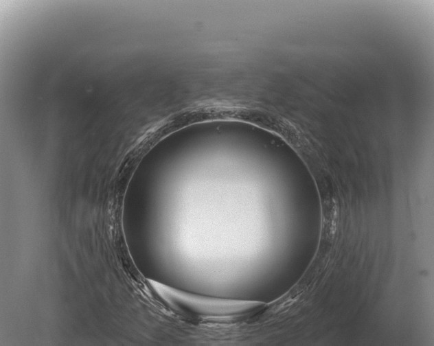 X0000080151157200612151823