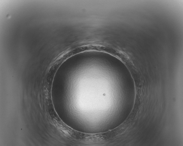 X0000080151159200612151823