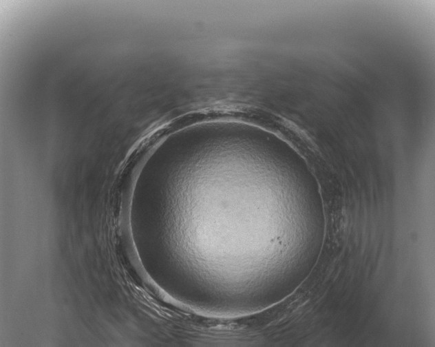 X0000080151160200612151823