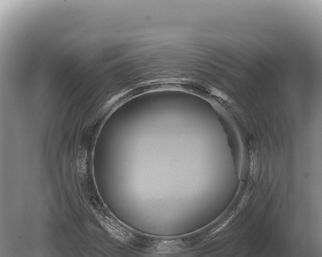 X0000080151161200612151823