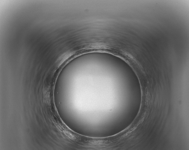 X0000080151162200612151823