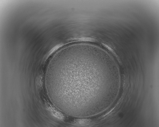 X0000080151163200612151823