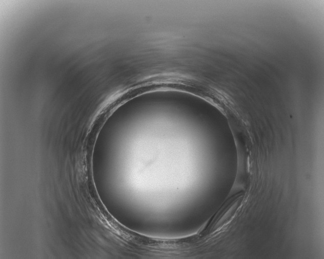 X0000080151164200612151823