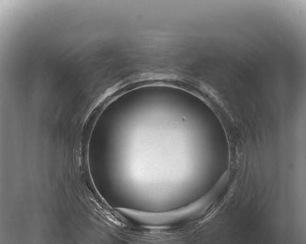 X0000080151165200612151822