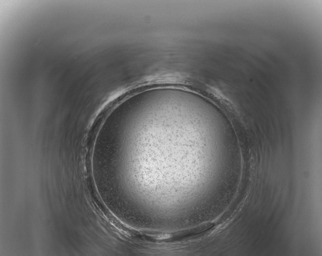 X0000080151166200612151822