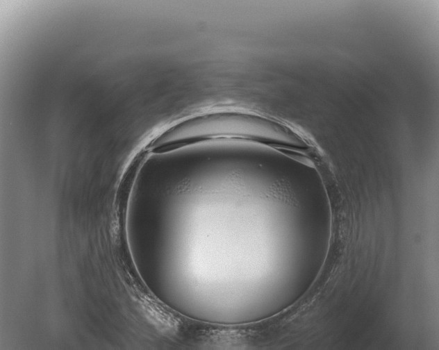 X0000080151167200612151822