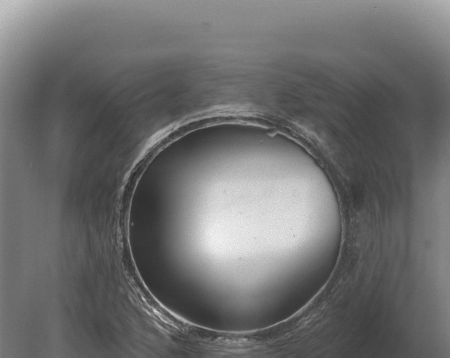 X0000080151168200612151822