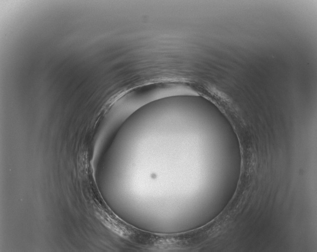 X0000080151169200612151822