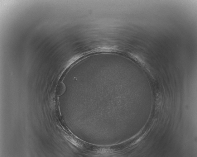 X0000080151170200612151822