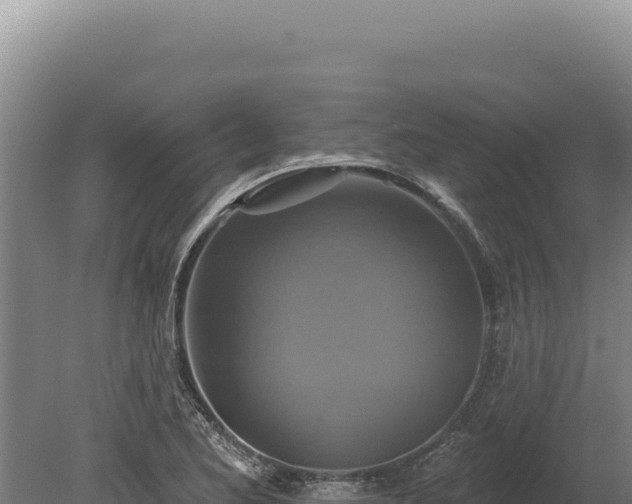 X0000080151173200612151822