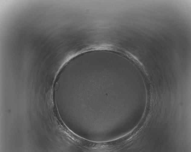 X0000080151174200612151822