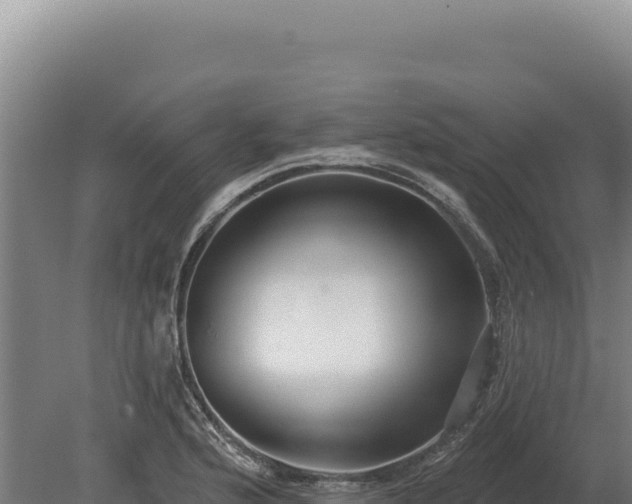 X0000080151176200612151822