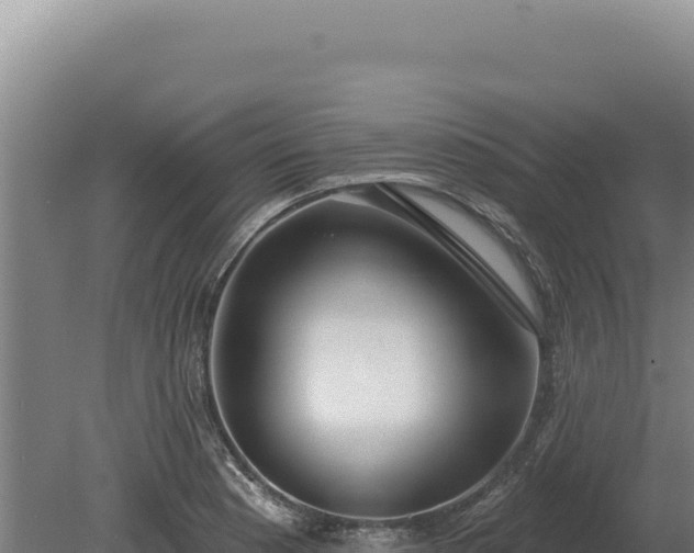 X0000080151177200612151822