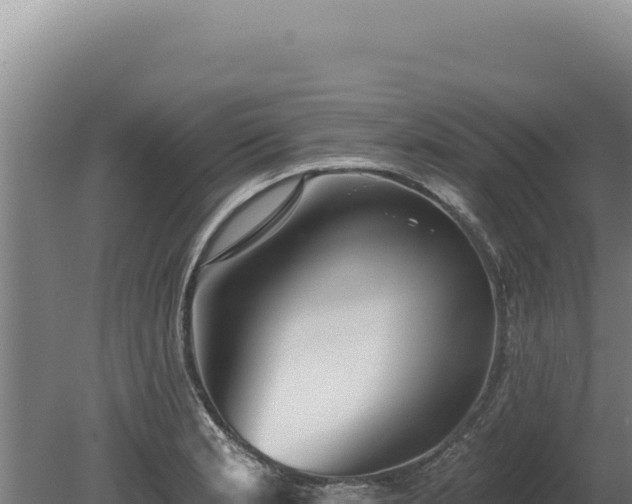 X0000080151181200612151822