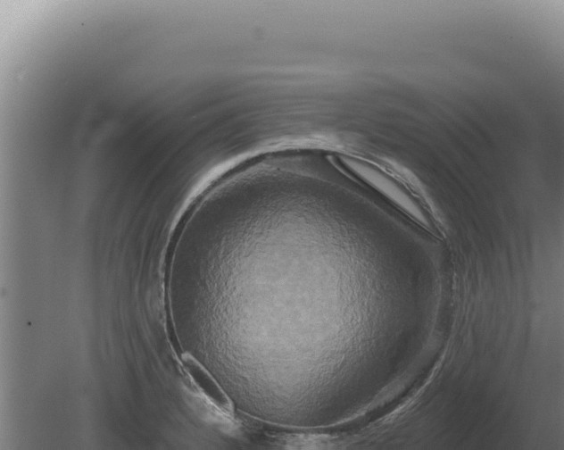 X0000080151184200612151822