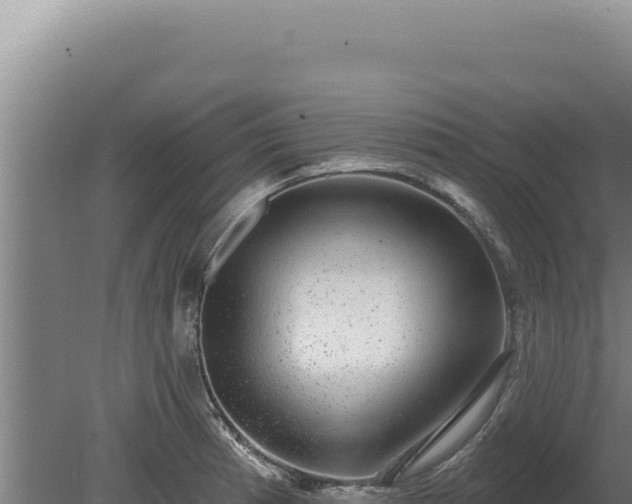 X0000080151185200612151822