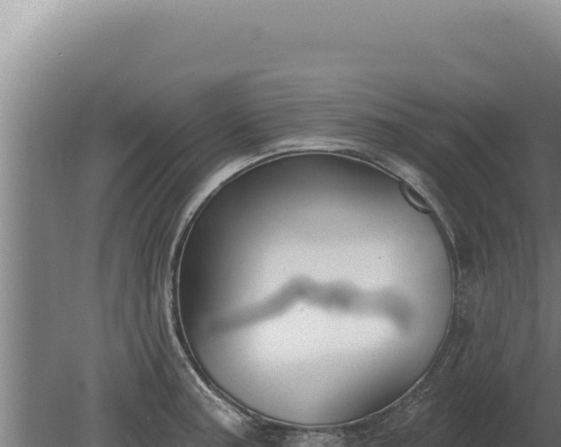 X0000080151187200612151822