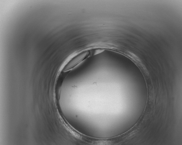 X0000080151188200612151822